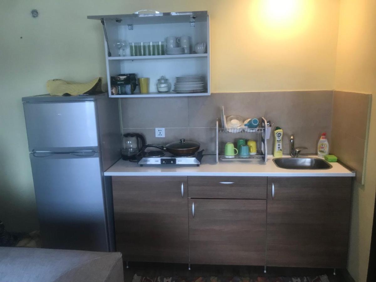 Crystalville Apartment 542 巴库里阿尼 外观 照片